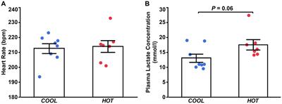 Acute exercise in a hot environment increases heat shock protein 70 and peroxisome proliferator-activated receptor γ coactivator 1α mRNA in Thoroughbred horse skeletal muscle